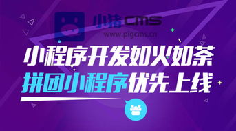 微信小程序拼团系统江苏上线，拼团购物更简单便捷